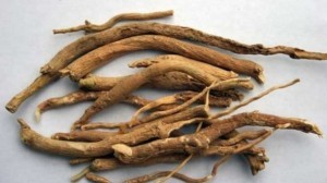 The Benefits & Uses of Ashwagandha